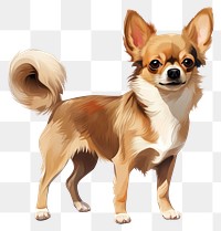 PNG Chihuahua dog papillon mammal. 