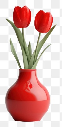 PNG Tulip vase flower plant. 