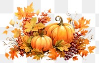 PNG Decoration vegetable pumpkin pattern