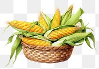 PNG Plant corn food vegetable