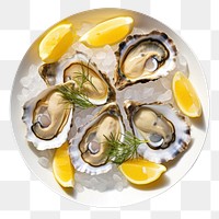 PNG Oyster plate seafood lemon. 