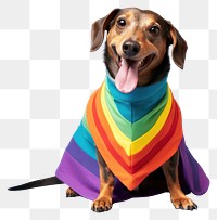 PNG  Pet dachshund mammal animal. AI generated Image by rawpixel.