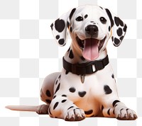 PNG Puppy pet dalmatian animal. 