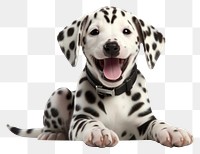 PNG  Puppy pet dalmatian animal. AI generated Image by rawpixel.