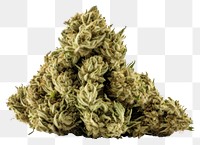 PNG Bud narcotic cannabis plant