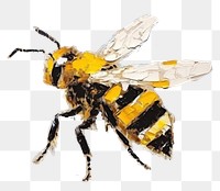 PNG Bee animal insect hornet. 