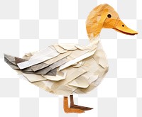 PNG Duck animal goose bird. 