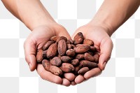 PNG Holding food hand nut. AI generated Image by rawpixel.