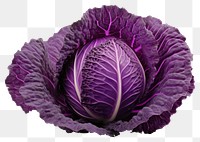 PNG Vegetable cabbage plant food. 