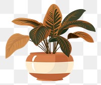 PNG Plant houseplant vase leaf. 