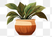 PNG Plant houseplant vase leaf. 