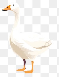 PNG Duck animal goose white. 