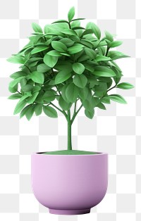 PNG Plant leaf tree vase. 