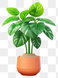 PNG Plant leaf vase  