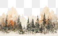 PNG Forest land fir backgrounds. 