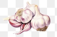 PNG Vegetable garlic plant food. 