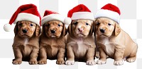 PNG Puppy decoration christmas mammal. AI generated Image by rawpixel.