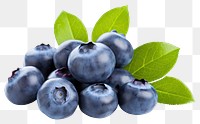 PNG Blueberry fruit plant food. 