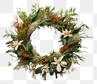 PNG Wreath christmas plant celebration. 