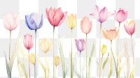 PNG Tulip backgrounds blossom flower. AI generated Image by rawpixel.