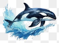 PNG Dolphin animal mammal whale. 