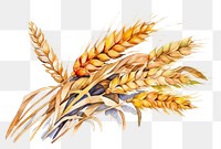 PNG Agriculture plant wheat food. AI generated Image by rawpixel.