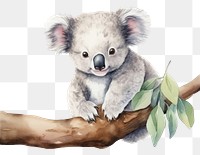 PNG Koala mammal representation creativity. 