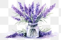 PNG Lavender flower plant vase