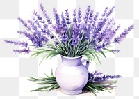 PNG Lavender flower plant vase.