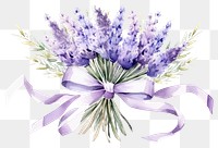 PNG Lavender flower ribbon purple