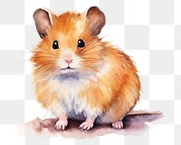 PNG Hamster rat rodent mammal. 