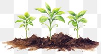 PNG Plant leaf soil agriculture