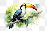 PNG watercolor illustration of Toucan tropical bird sitting on a tree branch in natural wildlife environment in rainforest jungle, isolated on a white paper background, isolated