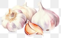 PNG Garlic vegetable plant food. 