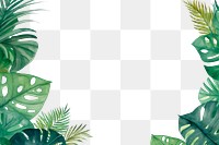 PNG Backgrounds outdoors nature summer. 
