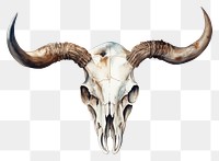 PNG Animal mammal white background animal skull