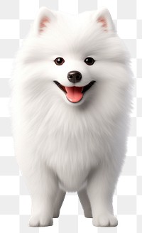 PNG Samoyed mammal animal white. 