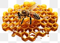 PNG Honeycomb bee animal insect. 