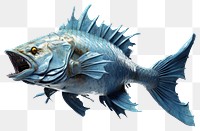 PNG Fish sea animal  transparent background