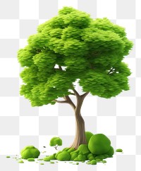 PNG Tree nature plant green. AI generated Image by rawpixel.