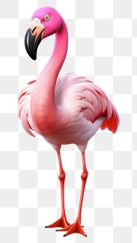 PNG Flamingo cartoon animal bird. 