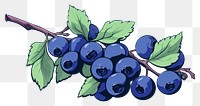 PNG Blueberry fruit plant food. 