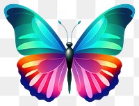 PNG Butterfly animal insect white background. AI generated Image by rawpixel.