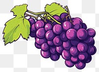 PNG Grapes fruit plant food. 