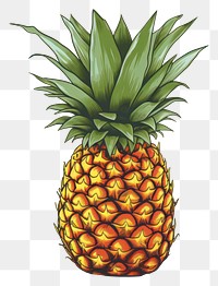 PNG Pineapple fruit plant food. 