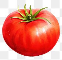 PNG Vegetable tomato fruit plant. 