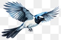 PNG Flying animal magpie bird. 