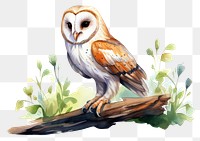 PNG Owl cartoon animal bird. AI generated Image by rawpixel.