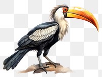 PNG Cartoon animal toucan bird. 