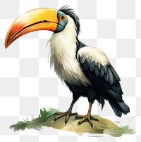 PNG Cartoon animal toucan bird. 